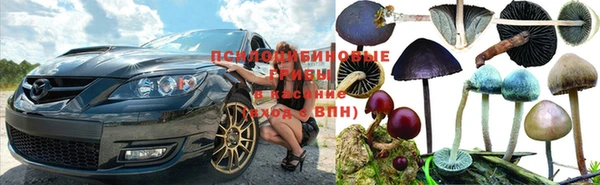 мдпв Алексин