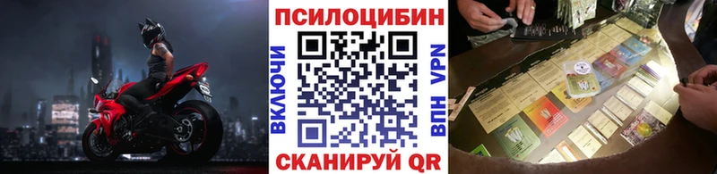 Псилоцибиновые грибы мицелий OMG ссылка darknet телеграм Нестеров